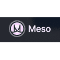 Seed Round - Meso