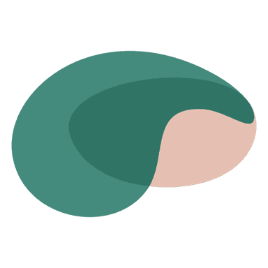 Seed Round - Neura Health