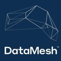 Series A - DataMesh Group