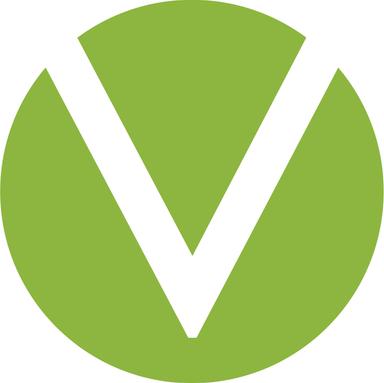 Debt Financing - Venuetize