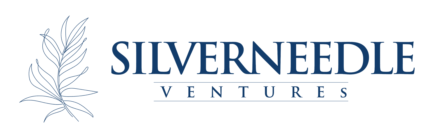 Silverneedle Ventures