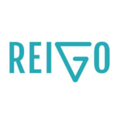 Debt Financing - REIGO Investments