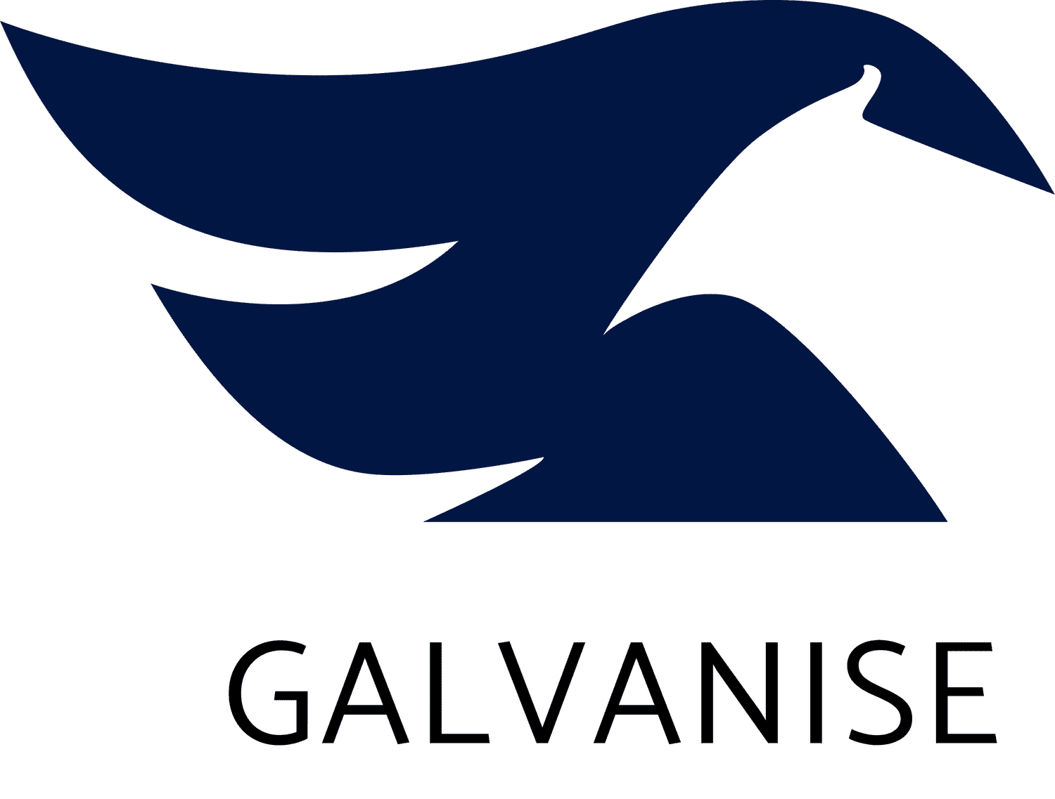 Galvanise Capital