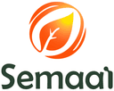 Semaai