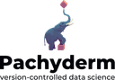 Pachyderm