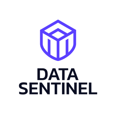 Seed Round - Data Sentinel