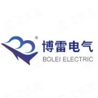 Borei Electric