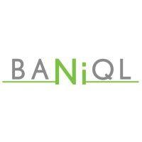 Seed Round - Baniql