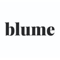 Seed Round - Blume