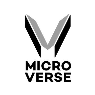 Seed Round - microverse