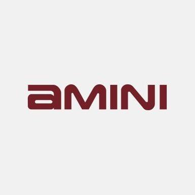 Seed Round - Amini