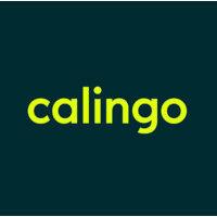 Seed Round - Calingo