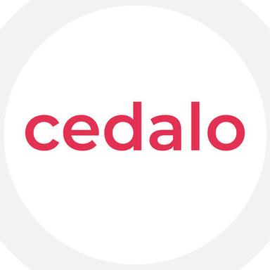 Seed Round - Cedalo