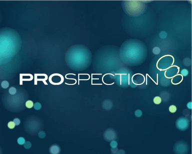 Seed Round - Prospection