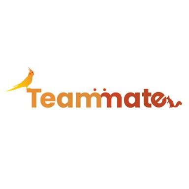 Teammate