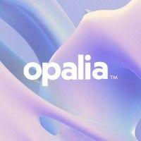 Seed Round - Opalia