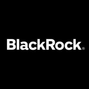 BlackRock Innovation Capital