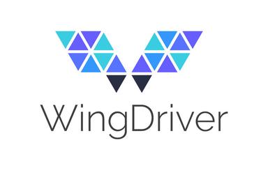 Pre Seed Round - WingDriver