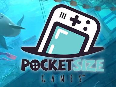 Pocket Size Games