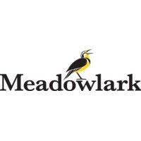 Series A - Meadowlark Media