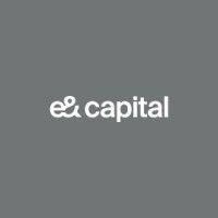 e& capital