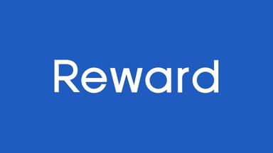 Corporate Round - Reward Insight