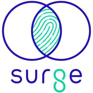 Seed Round - Surge