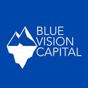 Blue Vision Capital