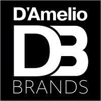 Seed Round - D'Amelio Brands