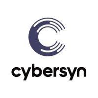 Series A - Cybersyn