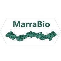 Seed Round - MarraBio