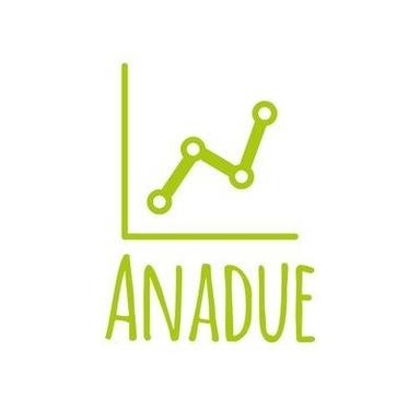 Funding Round - Anadue