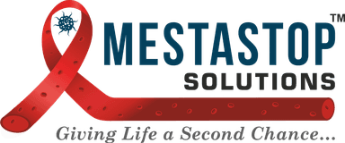 Seed Round - Mestastop Solutions