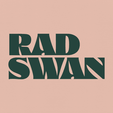 Seed Round - RadSwan