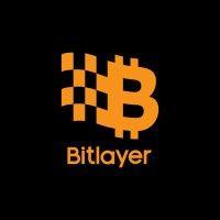 Seed Round - Bitlayer