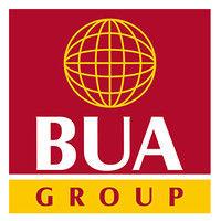 Debt Financing - BUA Group