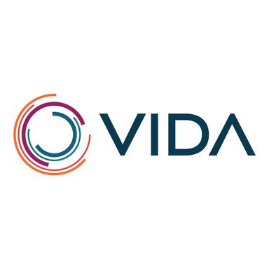 Debt Financing - VIDA