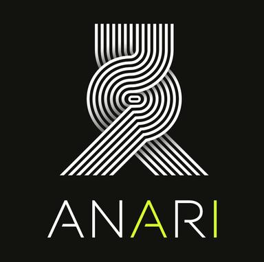 Seed Round - Anari AI