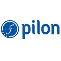 Seed Round - Pilon