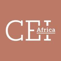 Clean Energy and Energy Inclusion for Africa