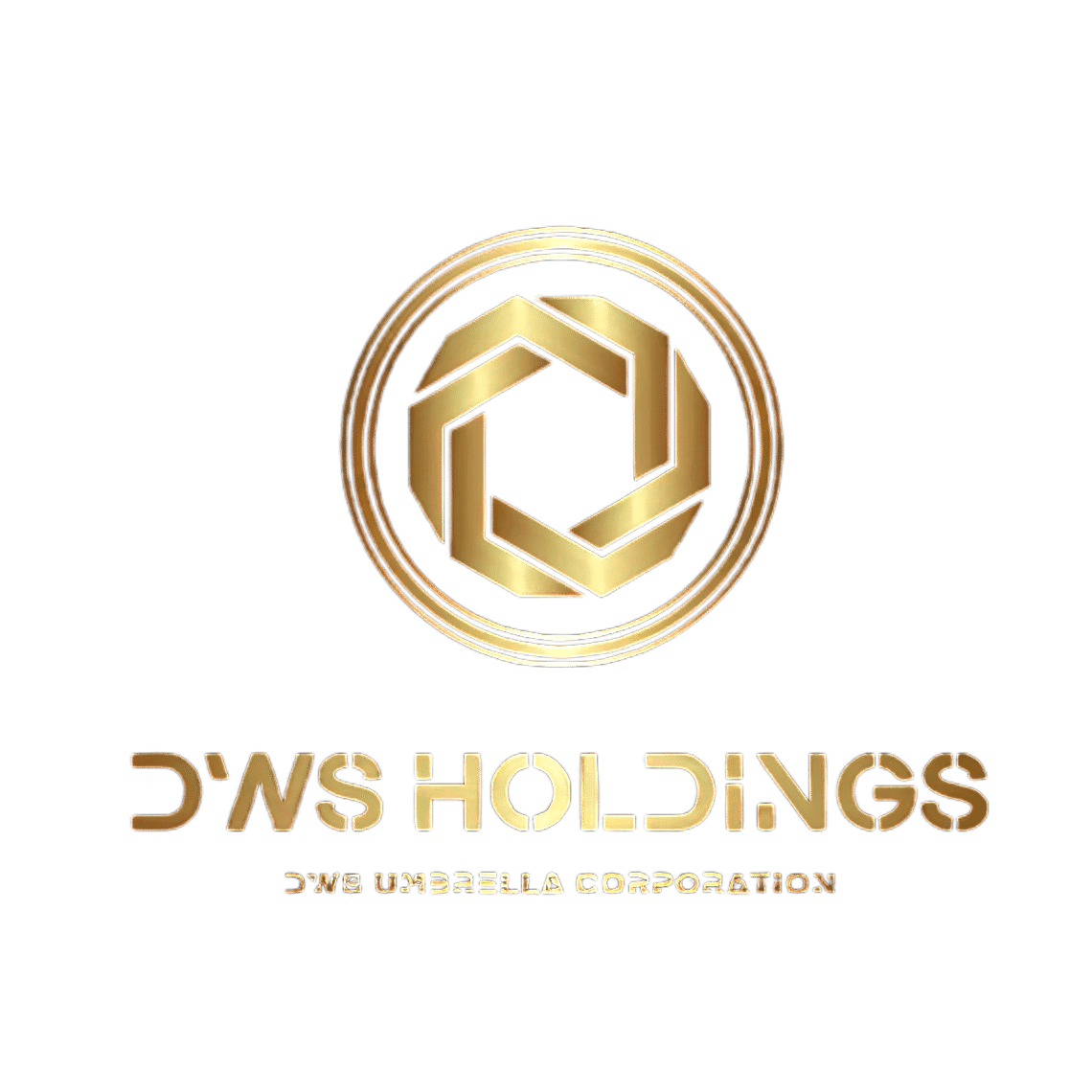 DWS Holdings Inc.