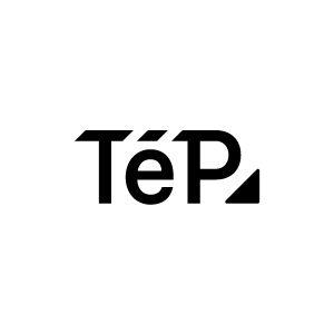 Debt Financing - TēPs