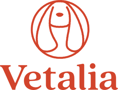 Venture Round - Vetalia