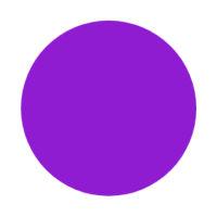 Seed Round - Purple Dot