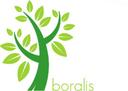 Boralis BV