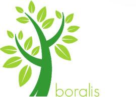 Boralis BV