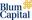 Blum Capital Partners