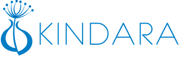 Seed Round - Kindara