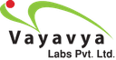 Vayavya Labs