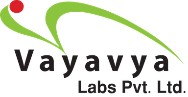 Vayavya Labs